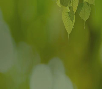 �±�GG�������漣ƽ̨